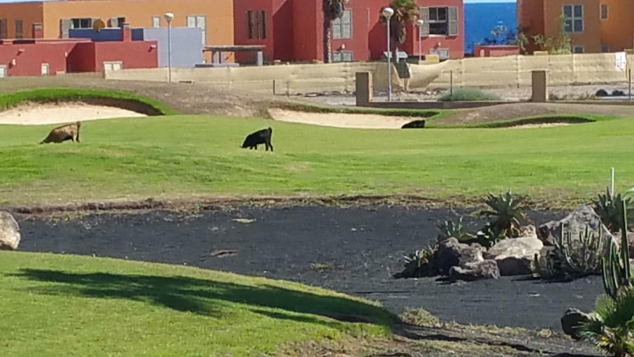 Villa Brisa Golf Salinas Caleta De Fuste Eksteriør bilde